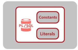 pls 00363 expression cannot be used as an assignment target