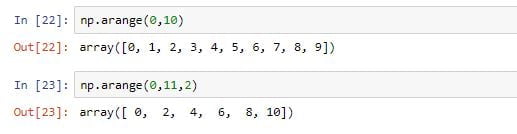 numpy array