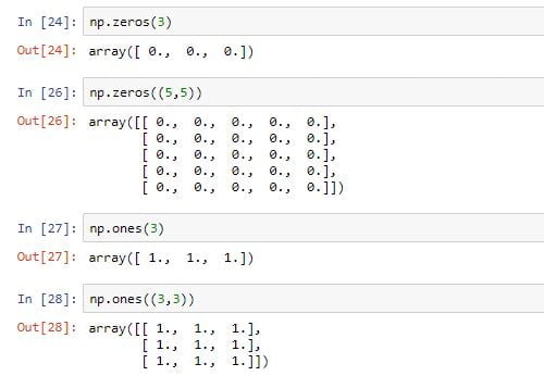 numpy array